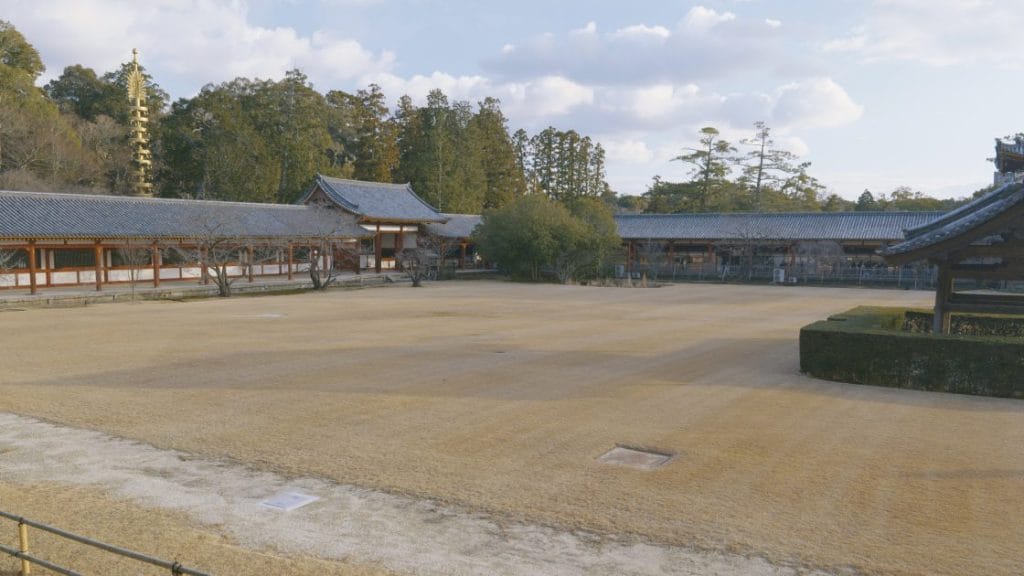 東大寺の芝生エリア